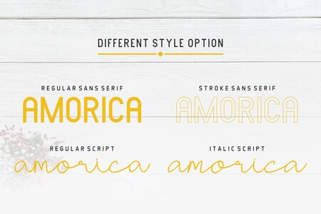 AMORICA SCRIPT font